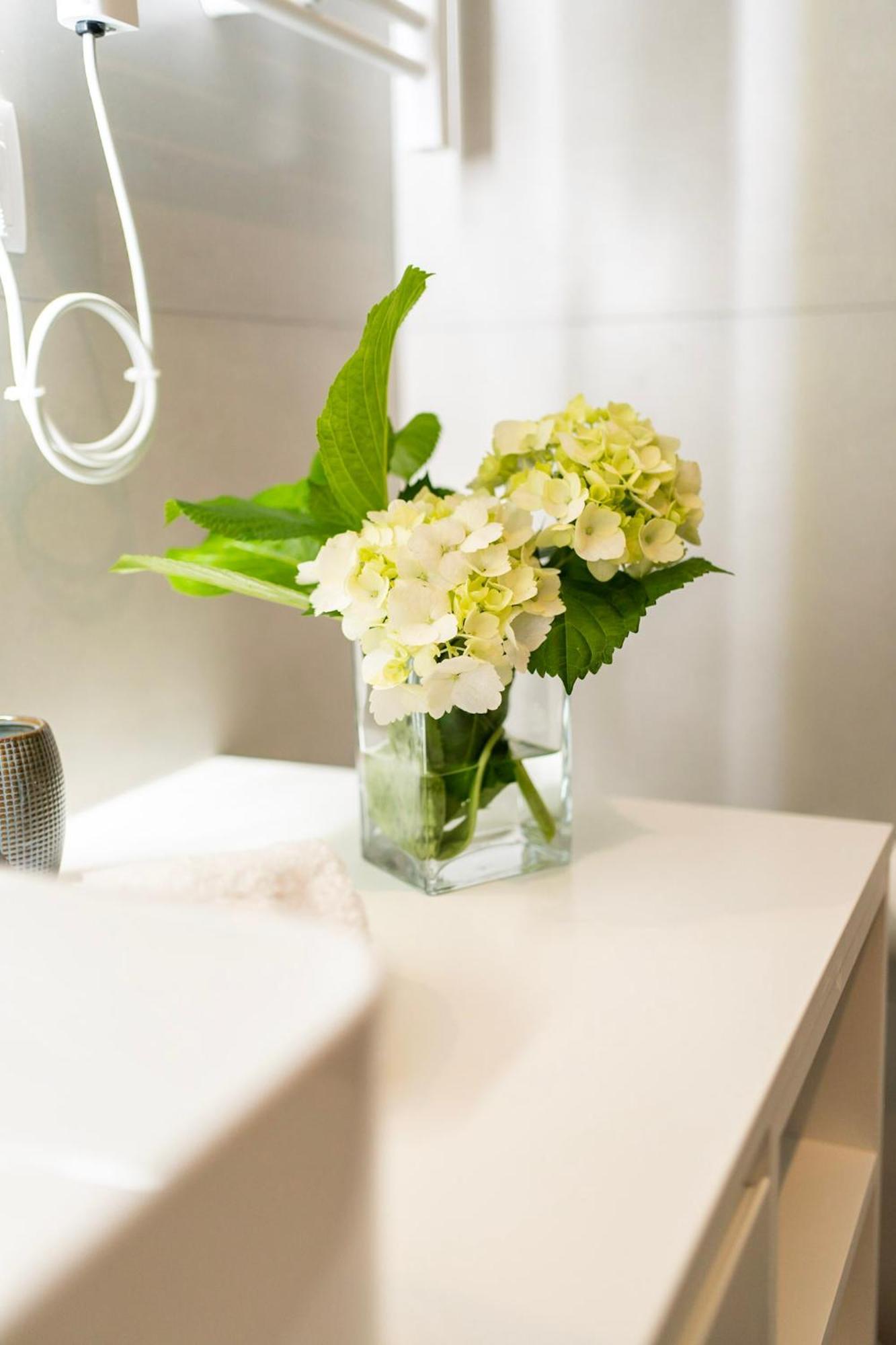 Azores Green Villas Ponta Delgada Zewnętrze zdjęcie
